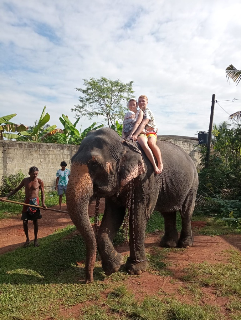 Happy family with child enjoying elephant ride experience in Sri Lanka